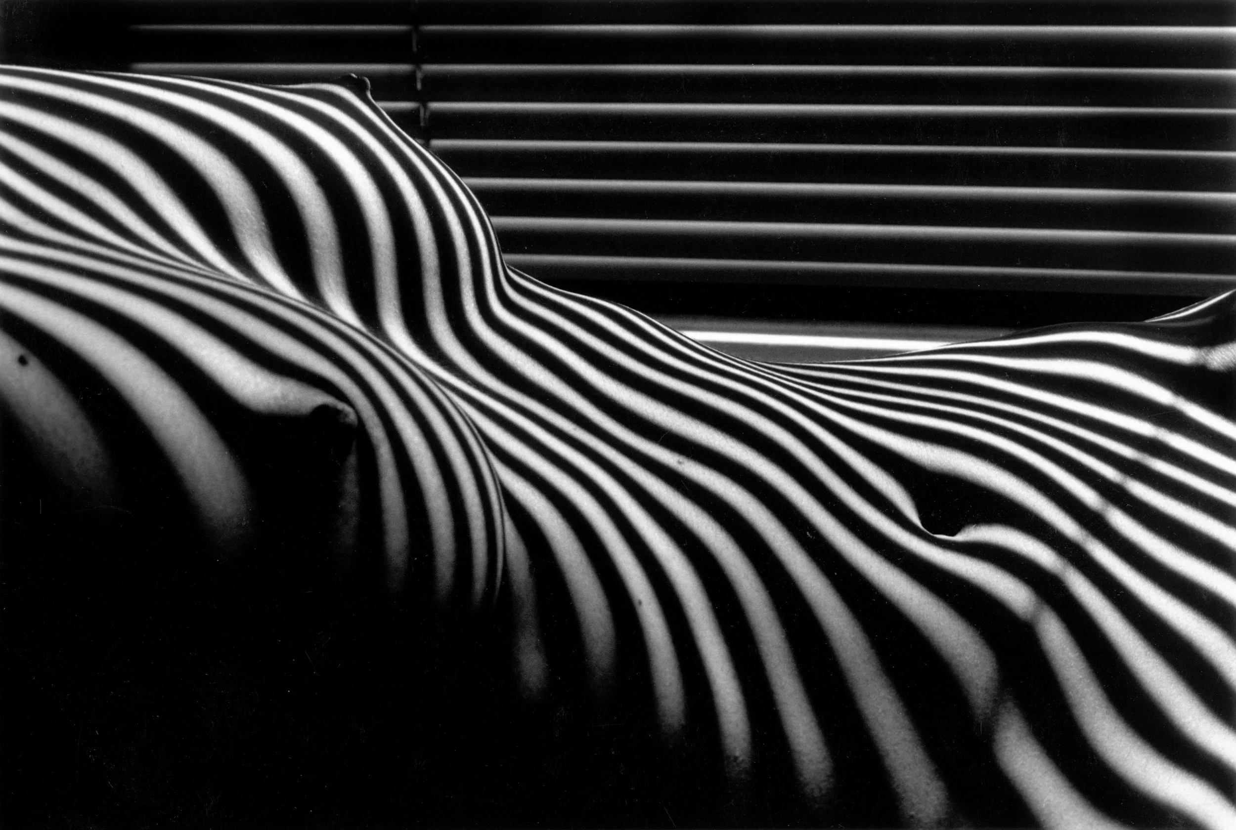 Lucien Clergue (1934-2014) Nu Zebre, New York , 1997 silver gelatin print, Artist's Proof 18 x 23 1/2 inches; 45.7 x 59.7 centimeters