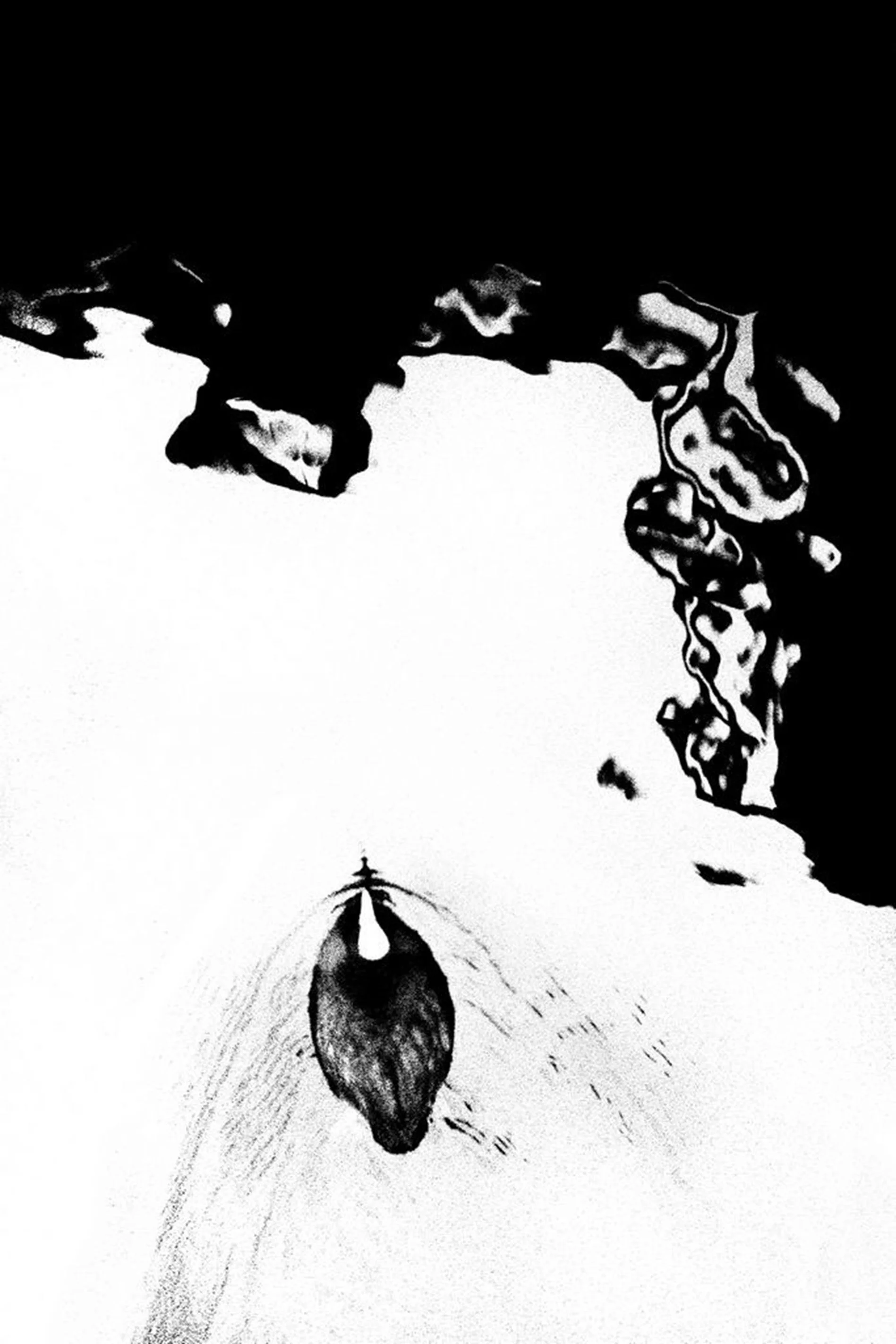 anima 002 , 2009 digital print 23 5/8 x 15 3/4 inches; 60 x 40 centimeters
