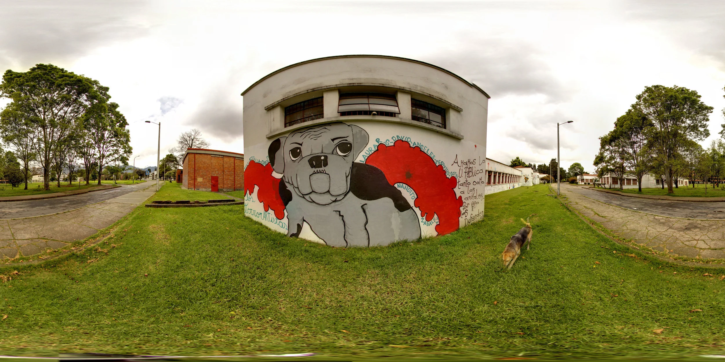 360° Dog Grafiti at the National Universidad de Bogotá