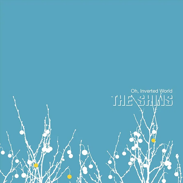 shins600.jpg