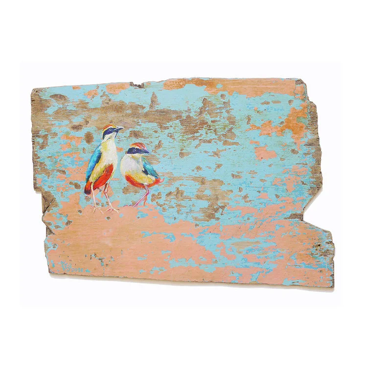 'The Fairy Pitta from Southeast Asia, 2016' by Melanie Gritzka del Villar