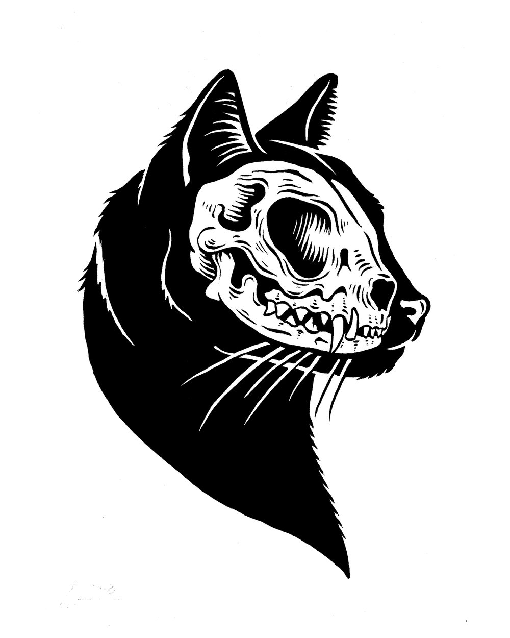 Cat skull.