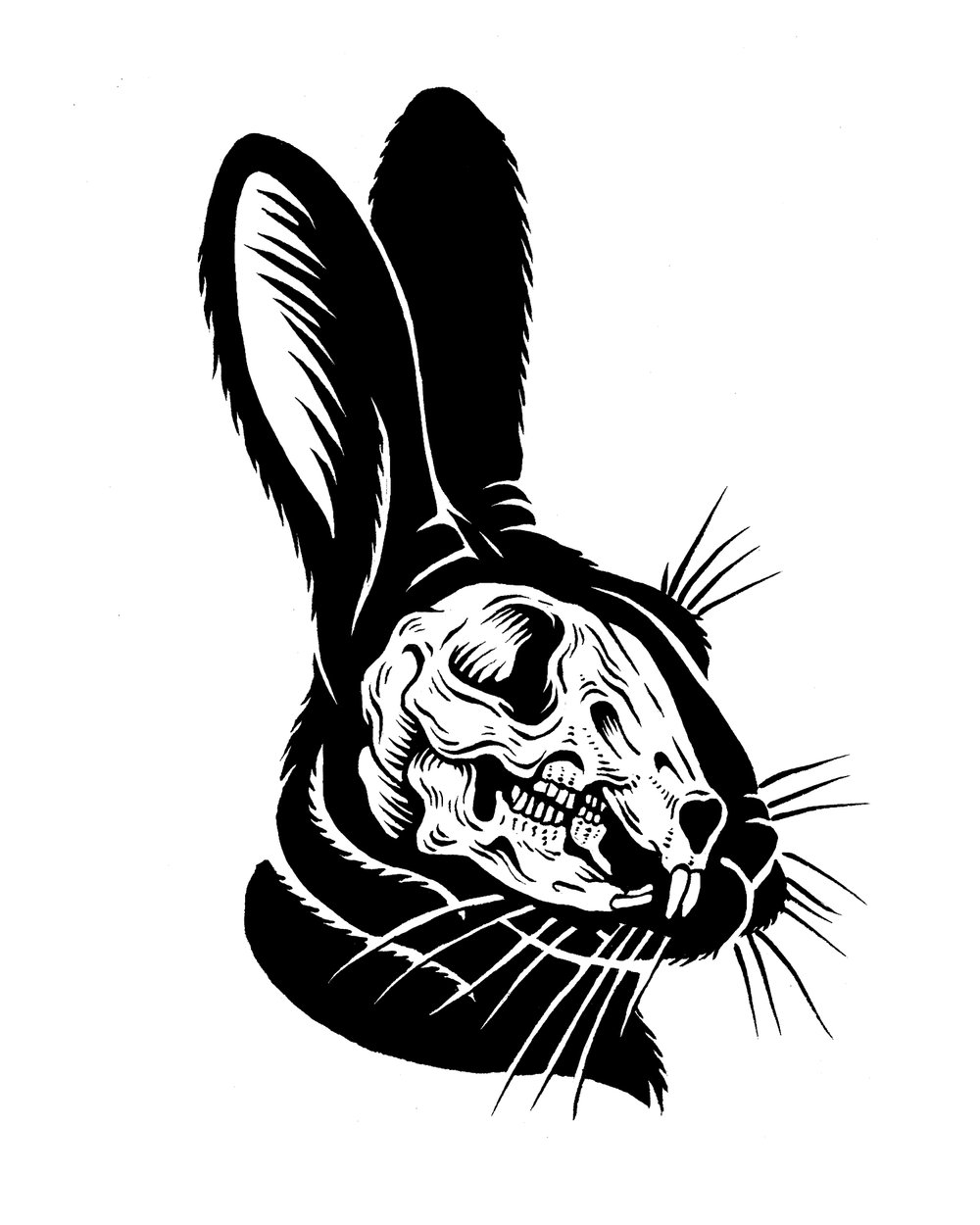 Featured image of post Rabbit Skull Drawing free for commercial use high quality images