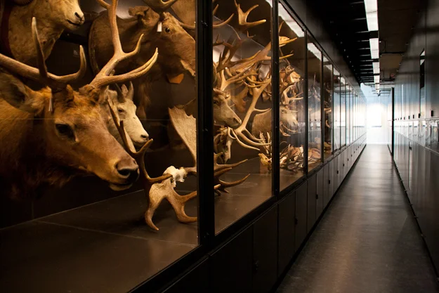 wpid-Beatty-Museum_20120228__Yara-De-Jong.jpg