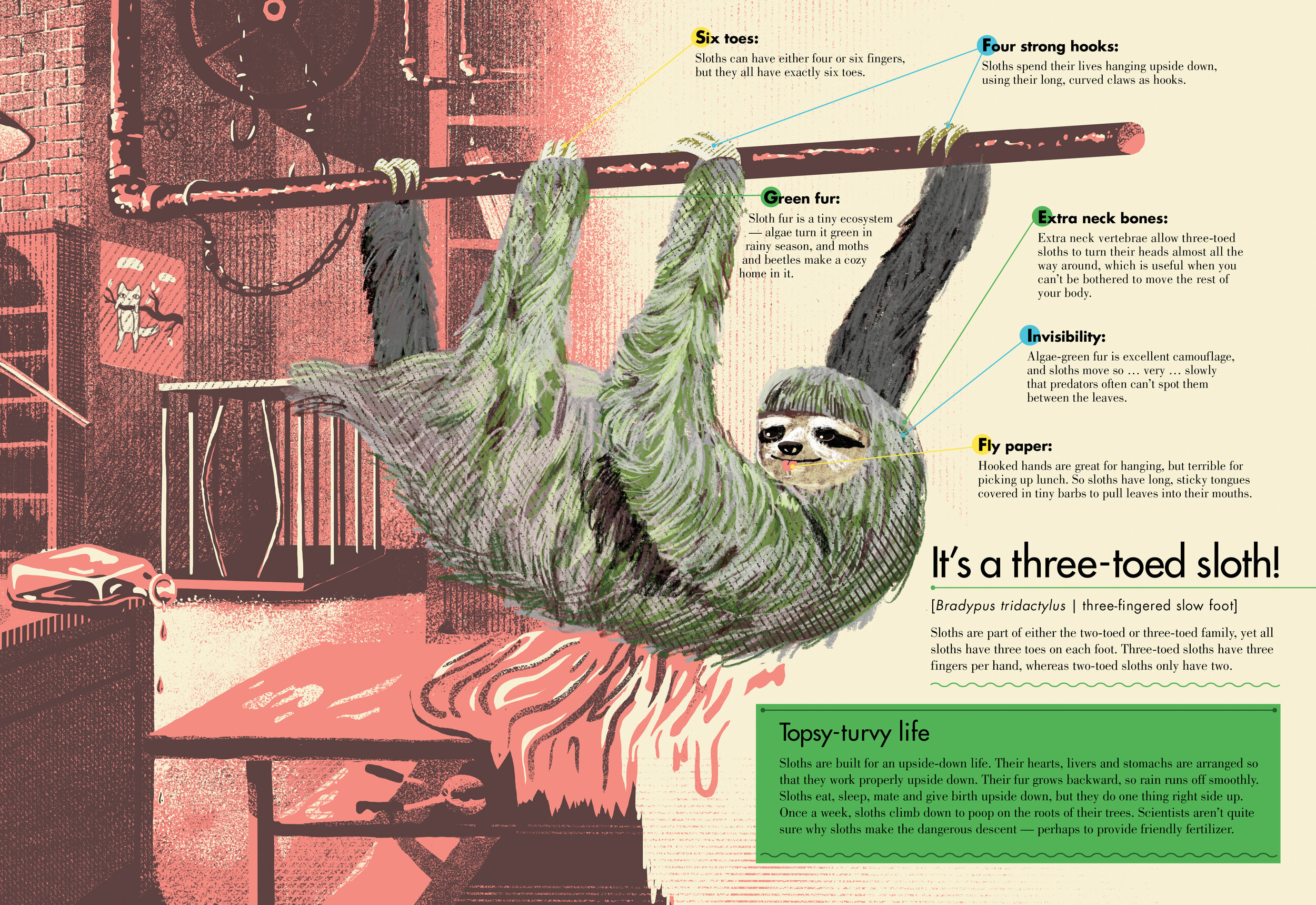 BeastlyPuzzles_2606_BookPreviews_Sloth2.jpg