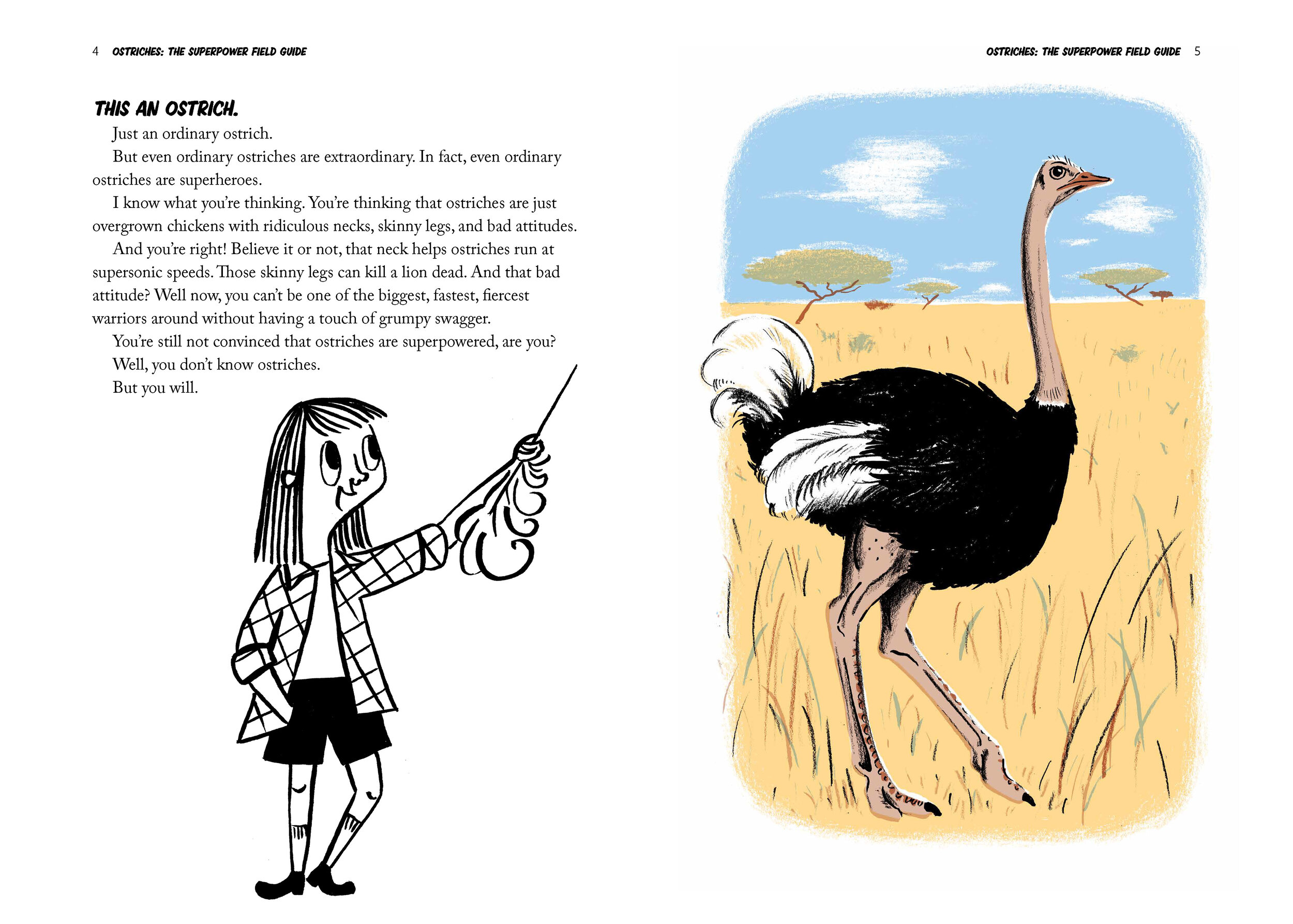 Ostriches_Spreads__Page_4-5.jpg