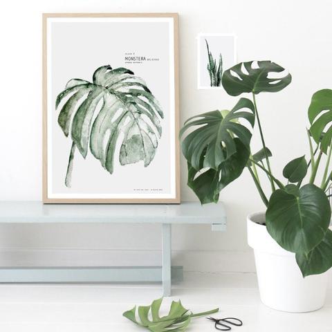 Monstera print from Tea & Kate / Trouva