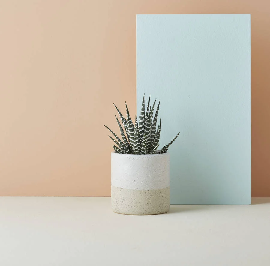 Speckled ceramic pot - Geofleur / NOTHS - £23 (7.5x7cm)