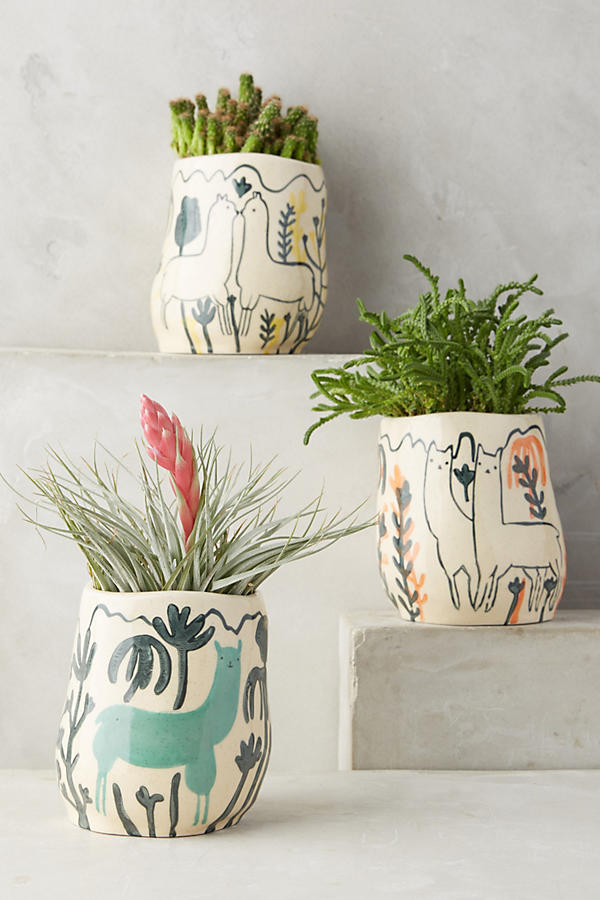 Wild Alpaca pot - Anthropologie - £16 (11cm W, 12cm H