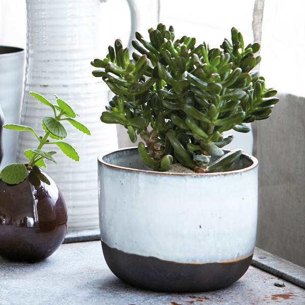 Ceramic planter - Ruby Roost - £15.95 (16.3cm dia x 12.5cm h)