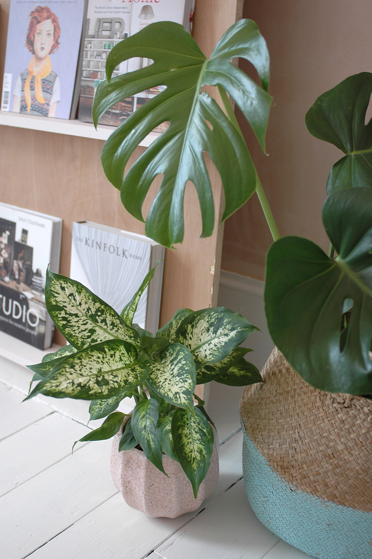 pink plant pot : Anthropologie / Belly basket : Olli Ella 