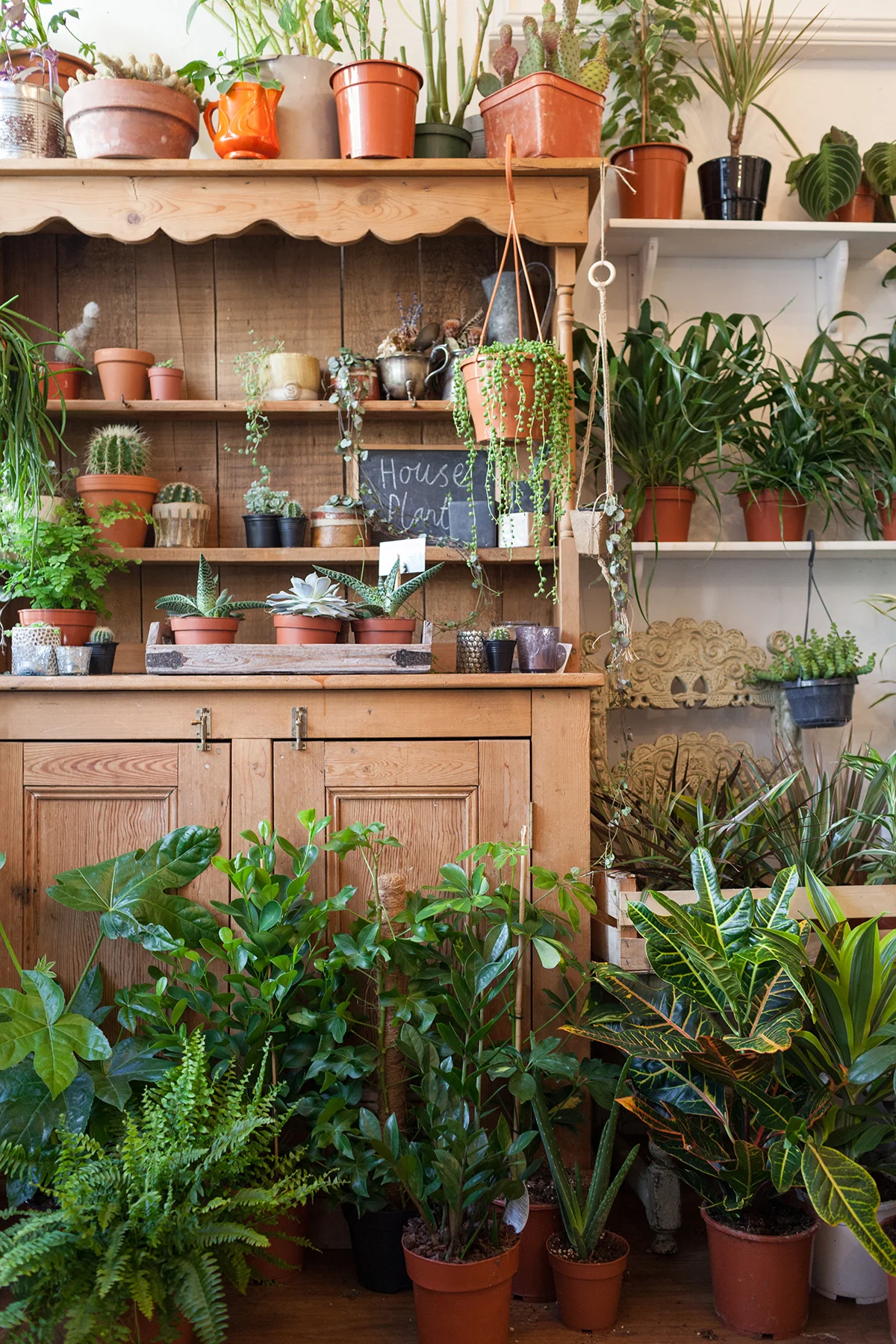 Les Fleurs flower shop featured in Issue 8. Photo: Kasia Fiszer