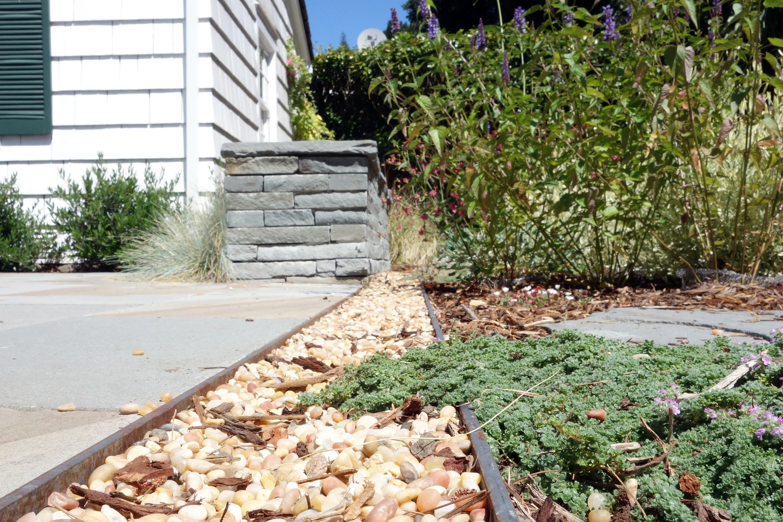 Berkeley Hills Garden Remodel