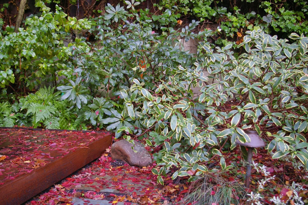 Oakland Hills Residence