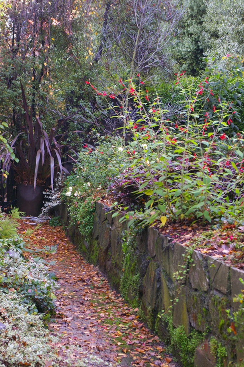 orinda-03.jpg
