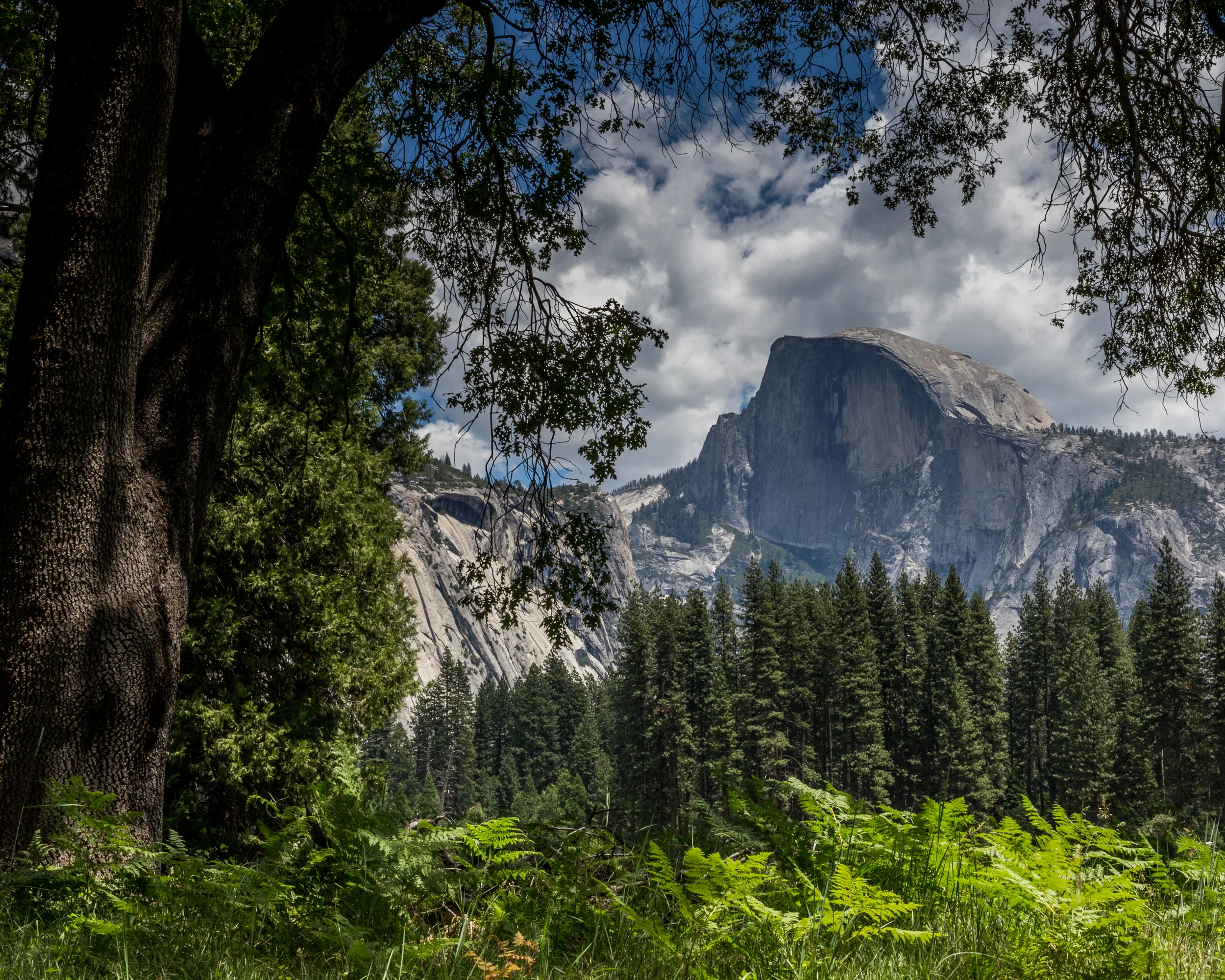 *Death Valley-Yosemite-1949.jpeg