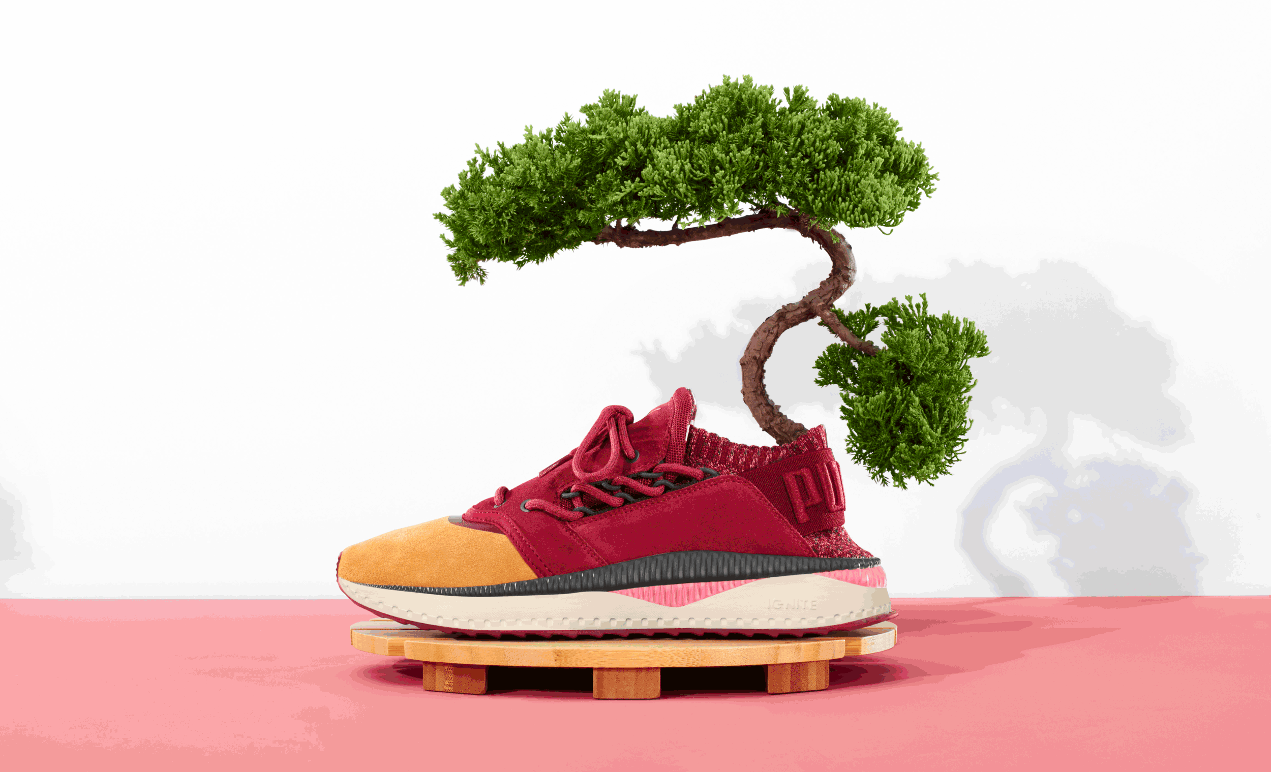 17AW_SP_PNA_Tsugi-Japan-Garden_001.gif
