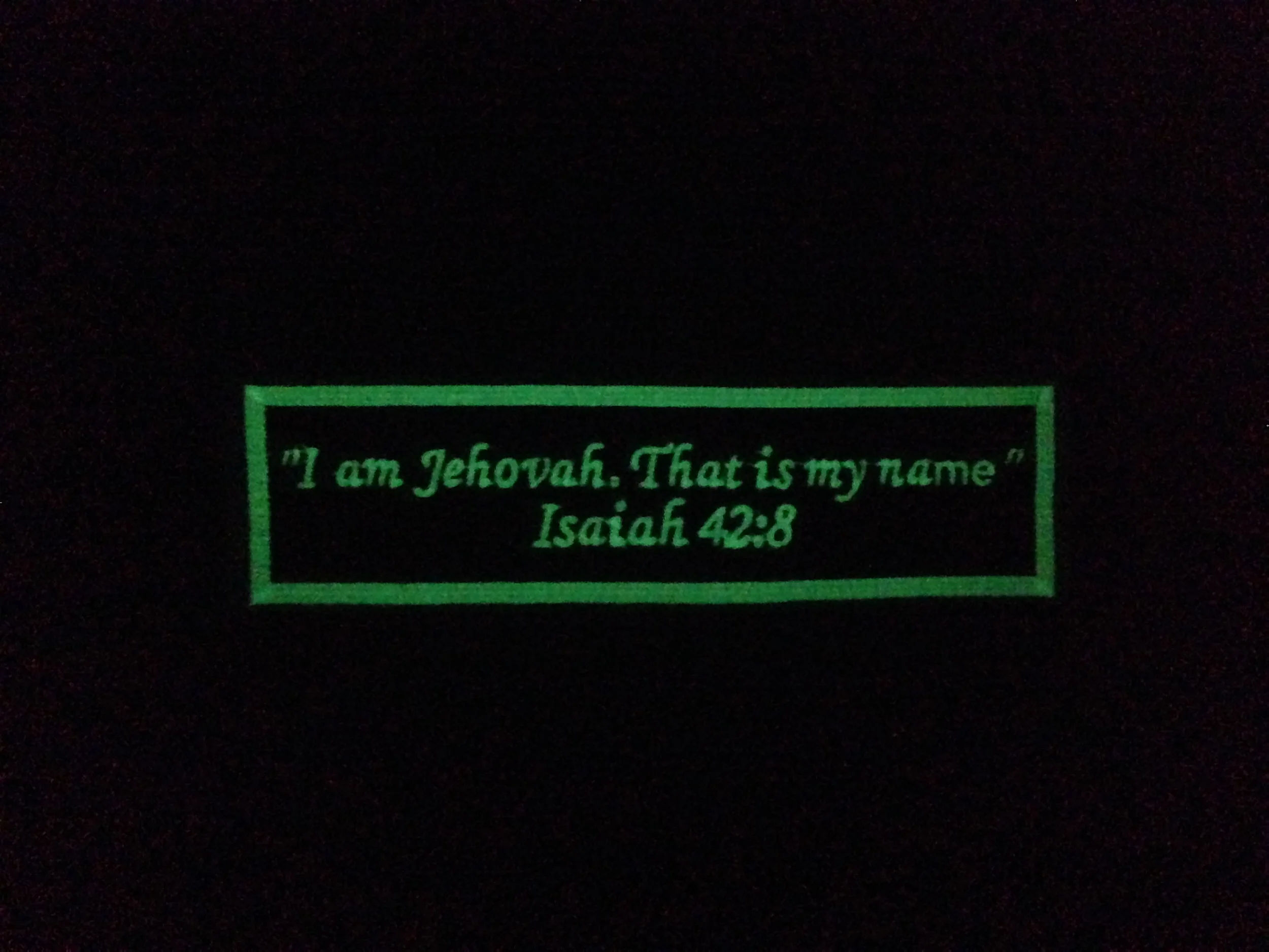 This picture is glow in the dark on the above pillow.