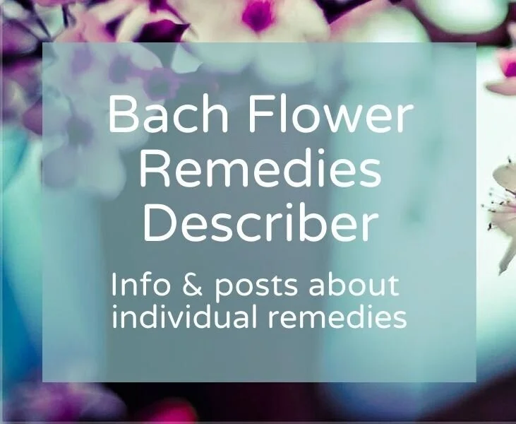 Bach+Flower+Remedies+Describer+Info+%26+posts+about+individual+remedies+%282%29.jpg