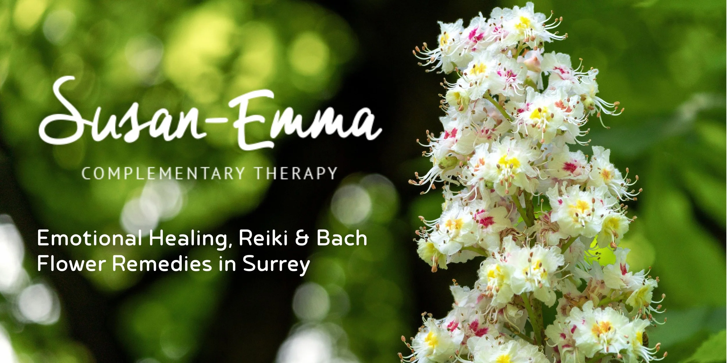 Emotional Healing, Reiki & Bach Flower Remedies in Surrey.jpg