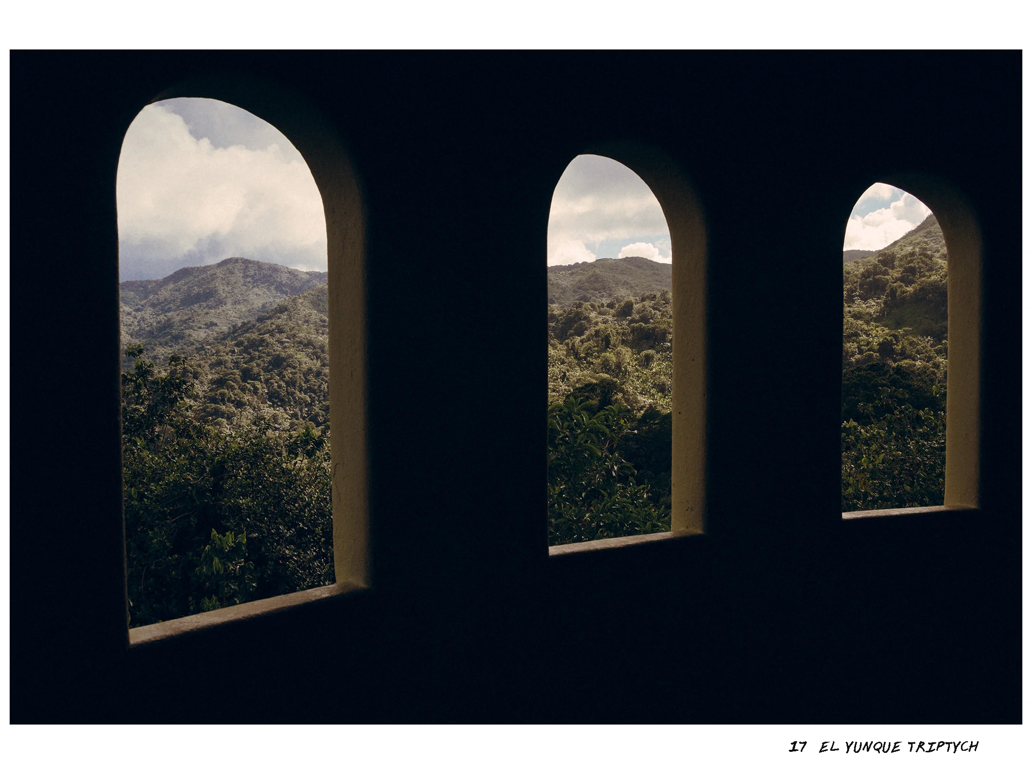17 - El Yunque triptych.jpg