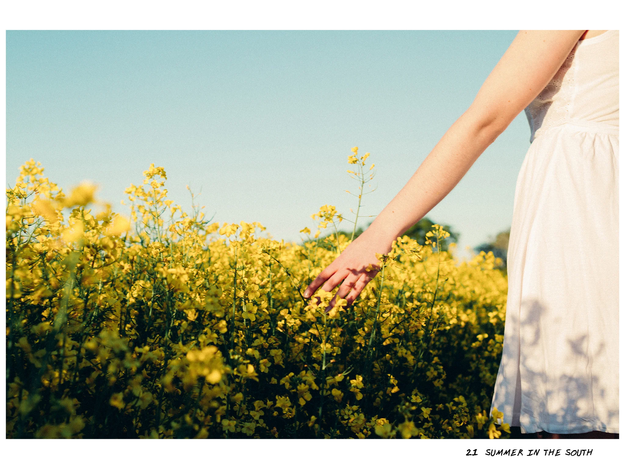 21 - Summer in the south.jpg