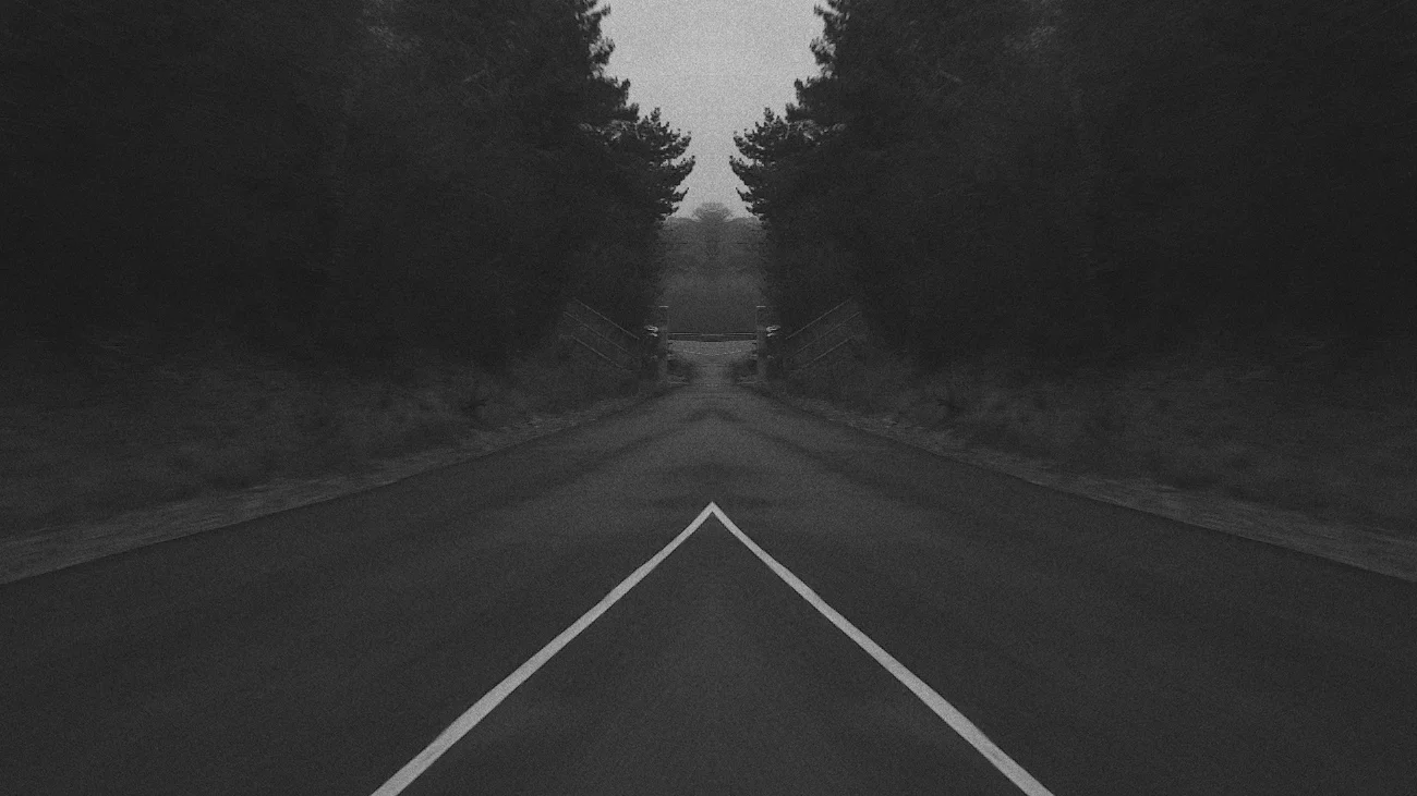 Springful still 1.jpg