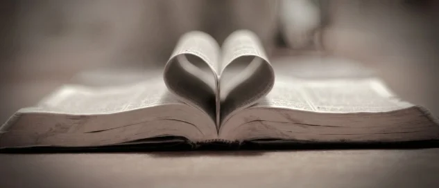 Gospel Clusters 90 Day New Testament Reading Plan