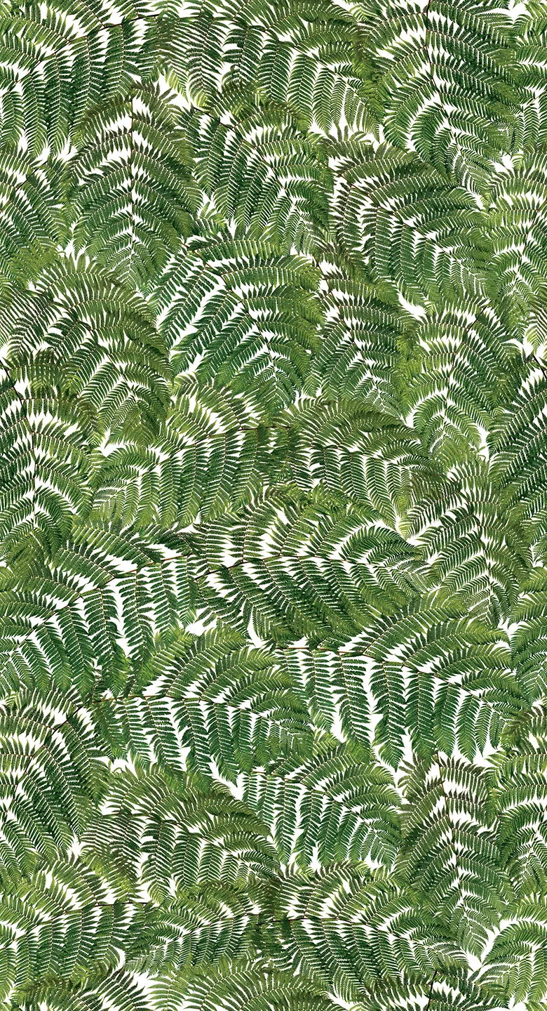 FERN