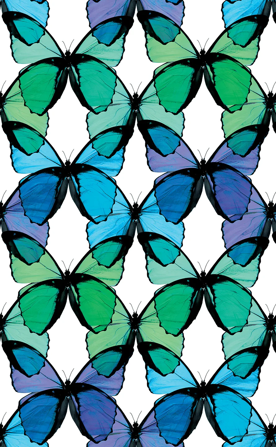 SEAFOAM LAYERED BUTTERFLY