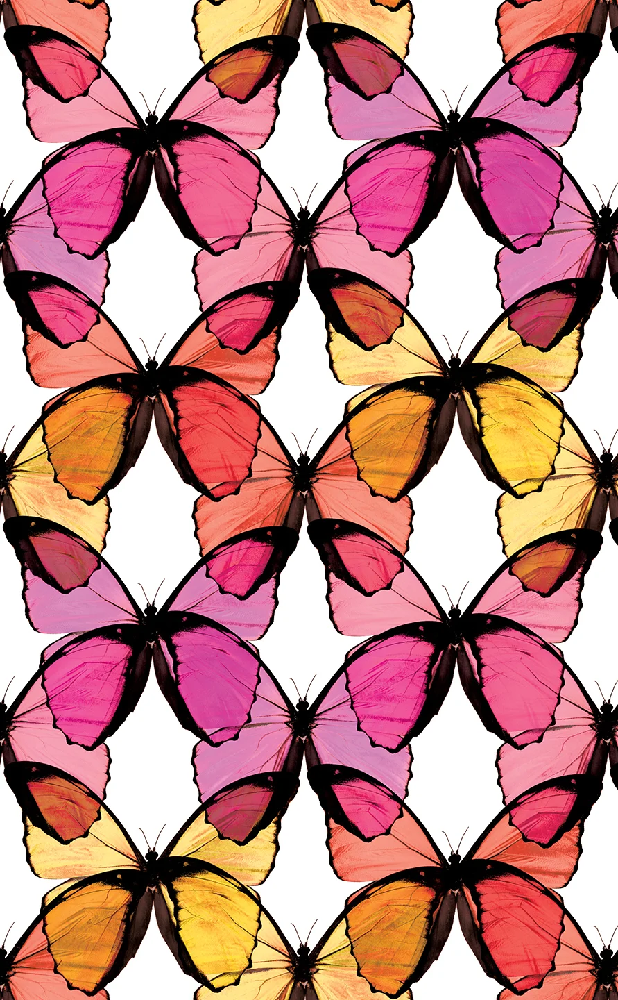 LAYERED BUTTERFLY
