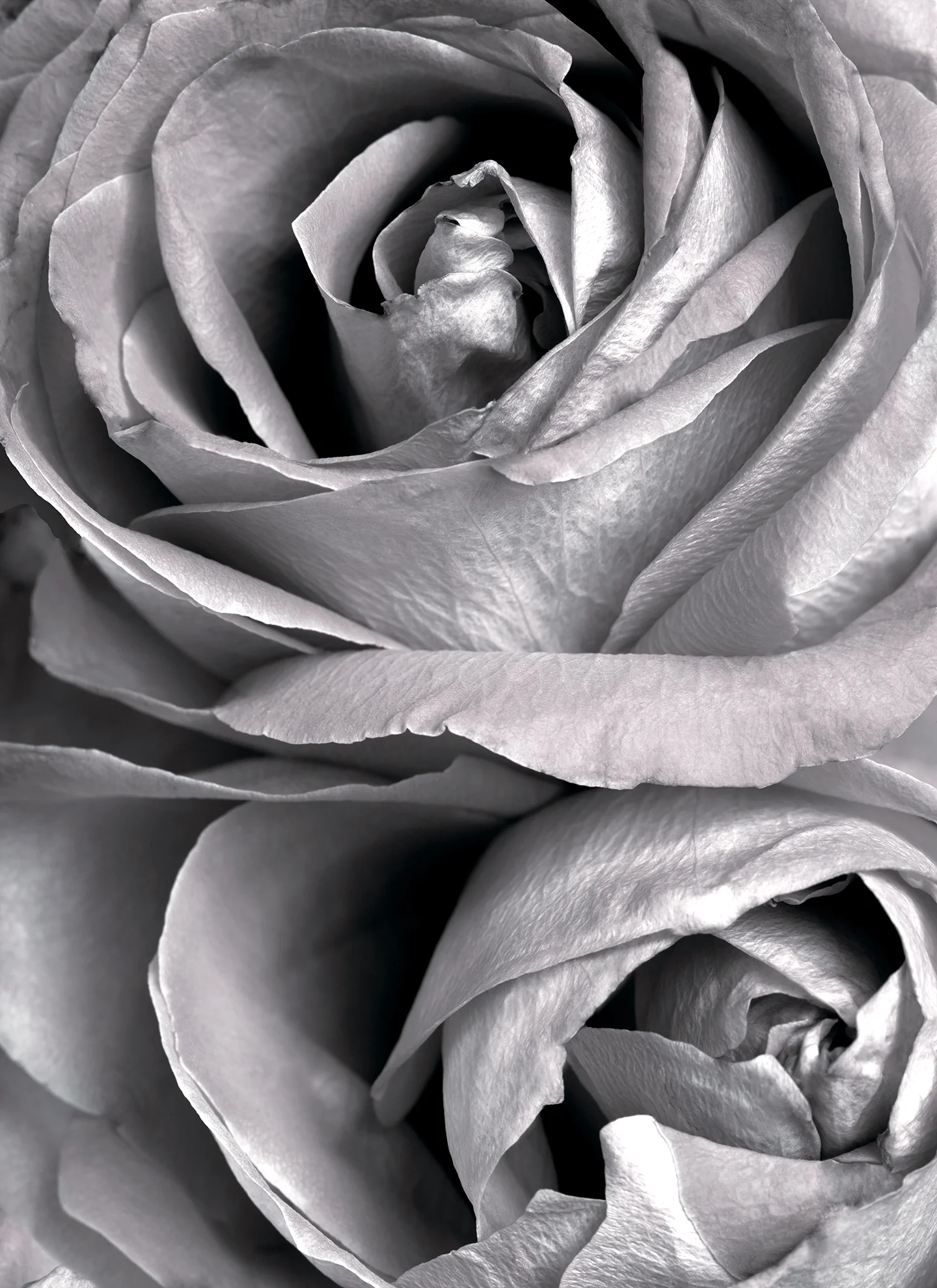 BLACK AND WHITE DOUBLE