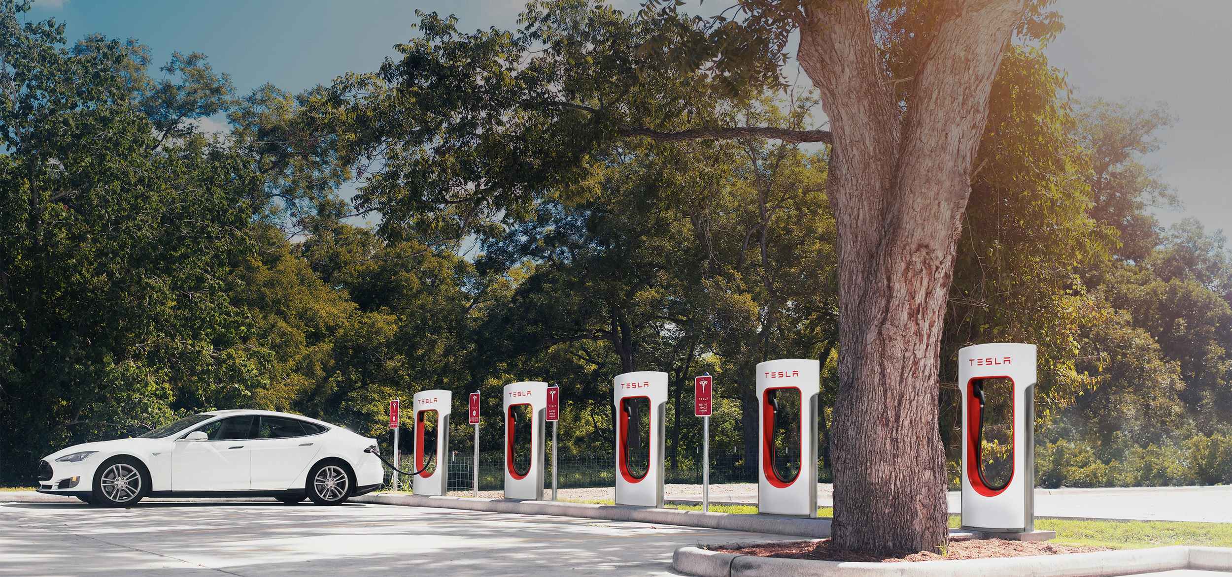 June Meetup: Electric Vehicles