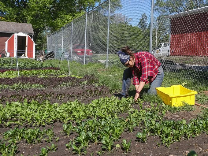 October Meetup: Dogpatch Urban Gardens
