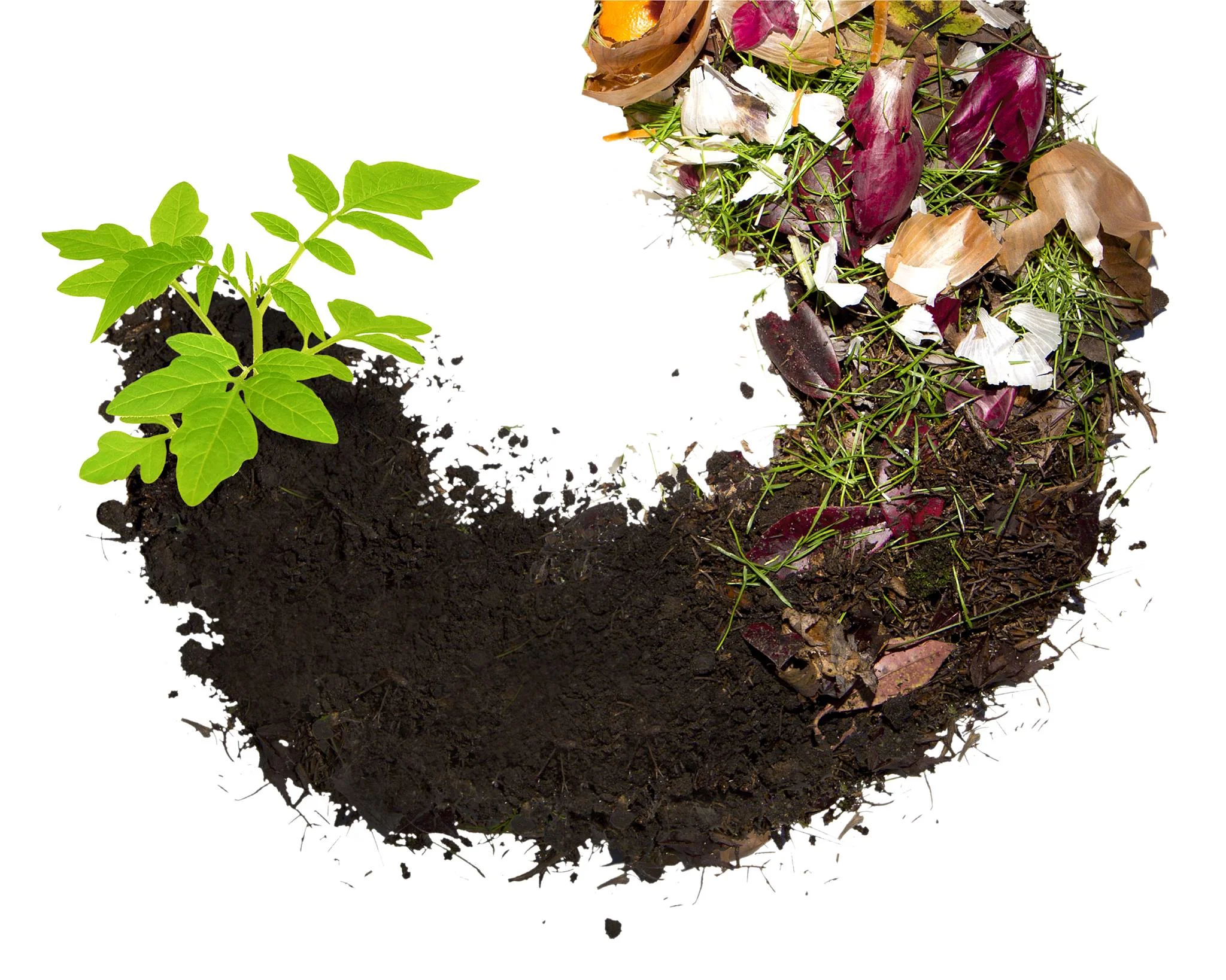 April Meet-Up: Compost