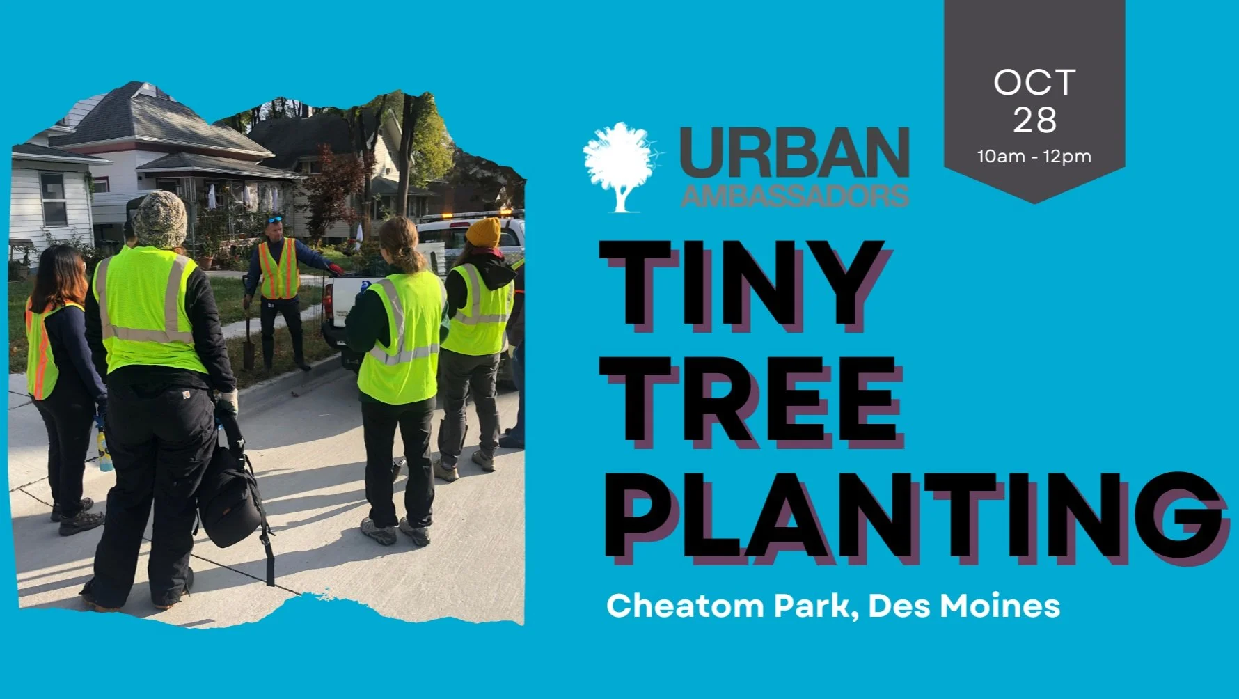Tiny Tree Planting at Cheatom Park