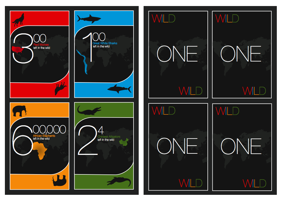 ONE WILD CARDS