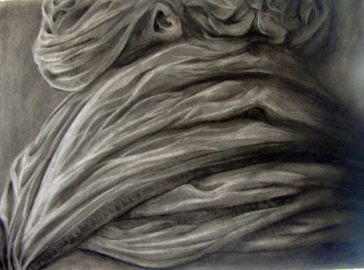 Charcoal Still-life