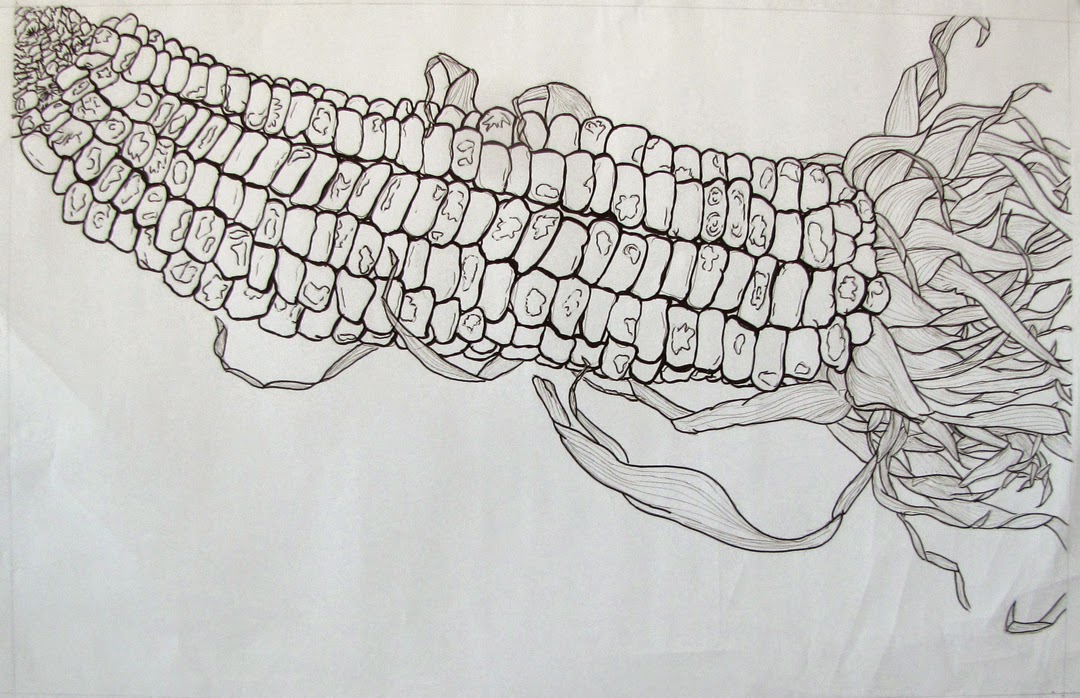 Contour of a single object