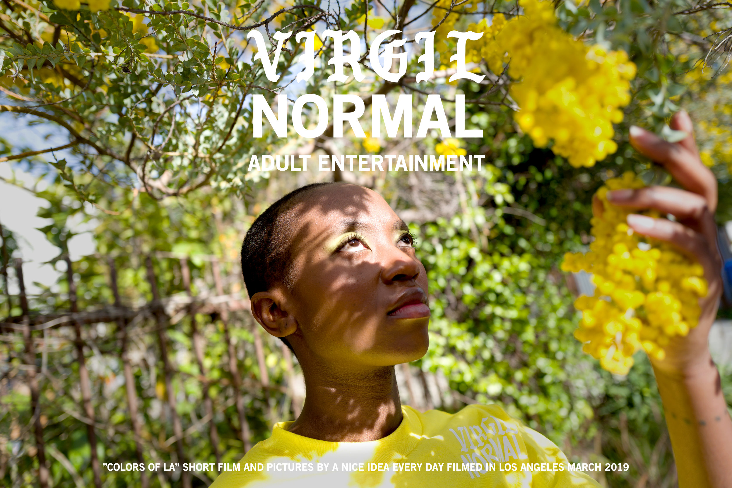 Virgil Normal "Colors of LA"