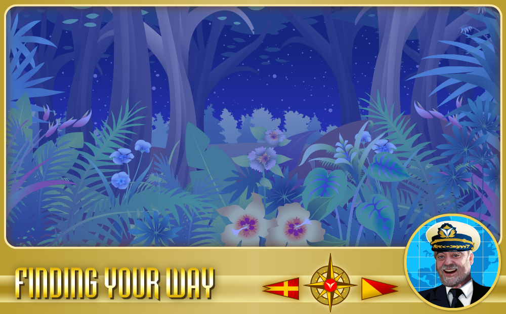 forest (0-00-00-00).png