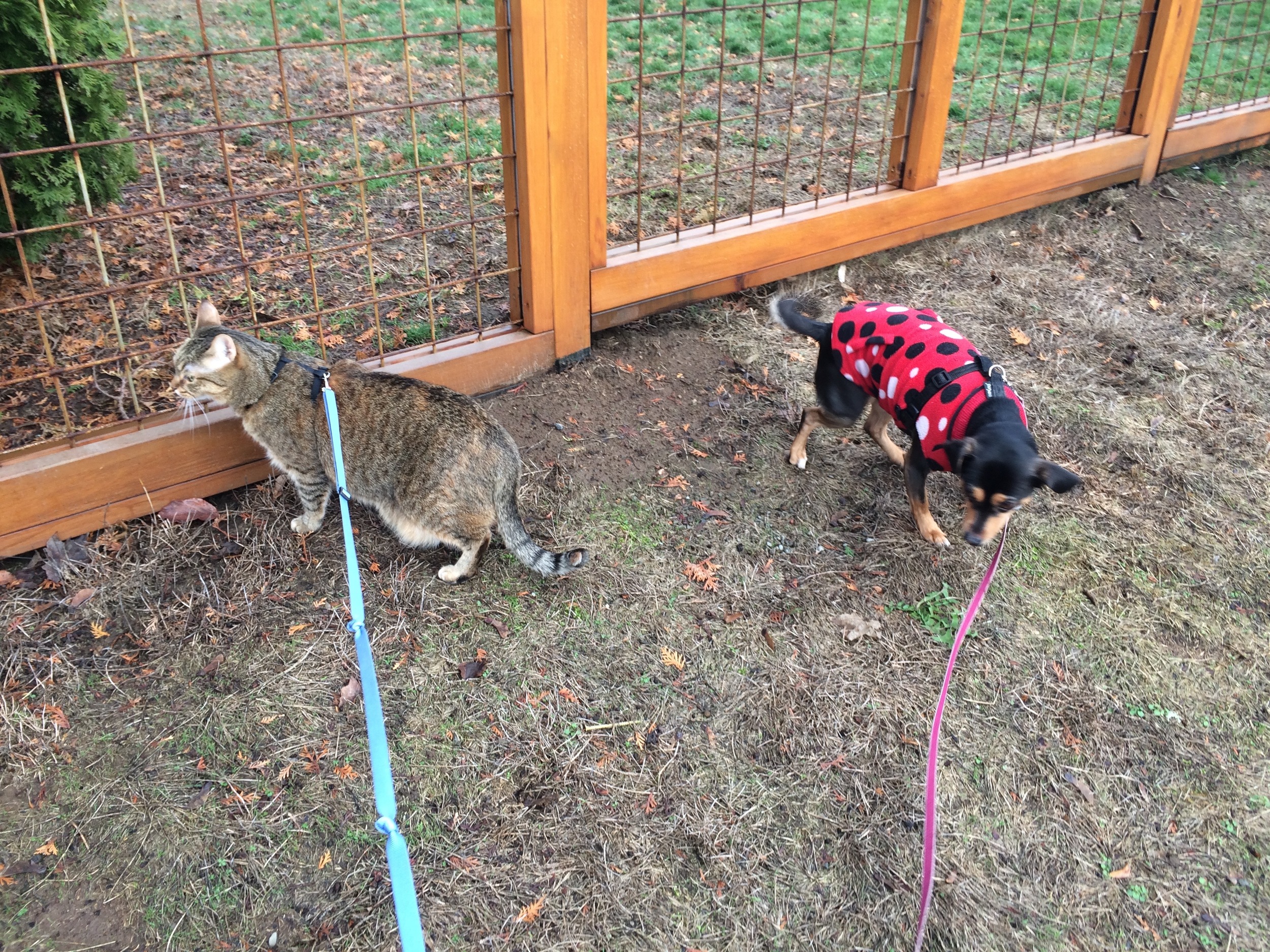 These two are more fairly matched.
