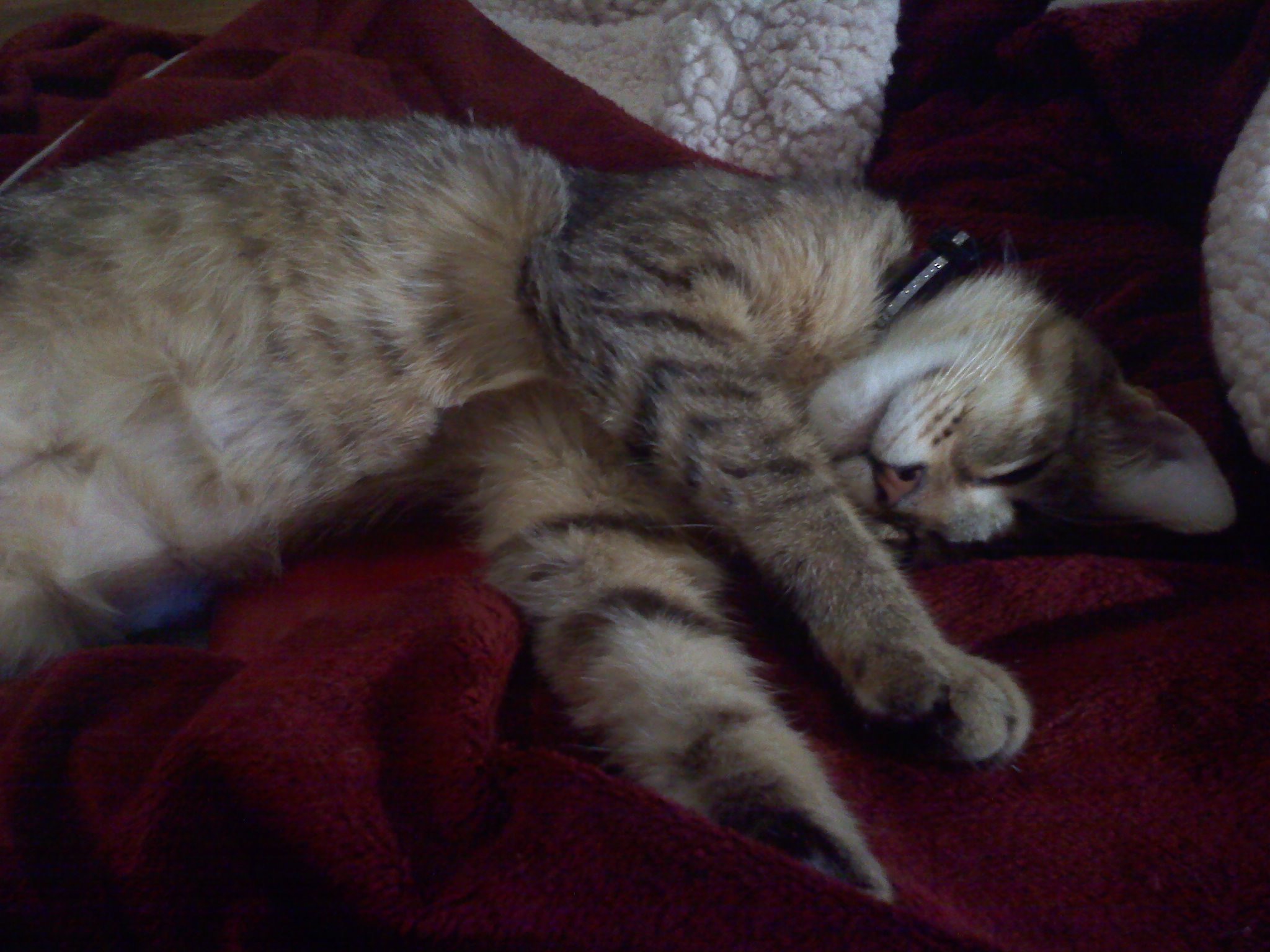 I mean, why would I want to go anywhere when this was waiting at home?!