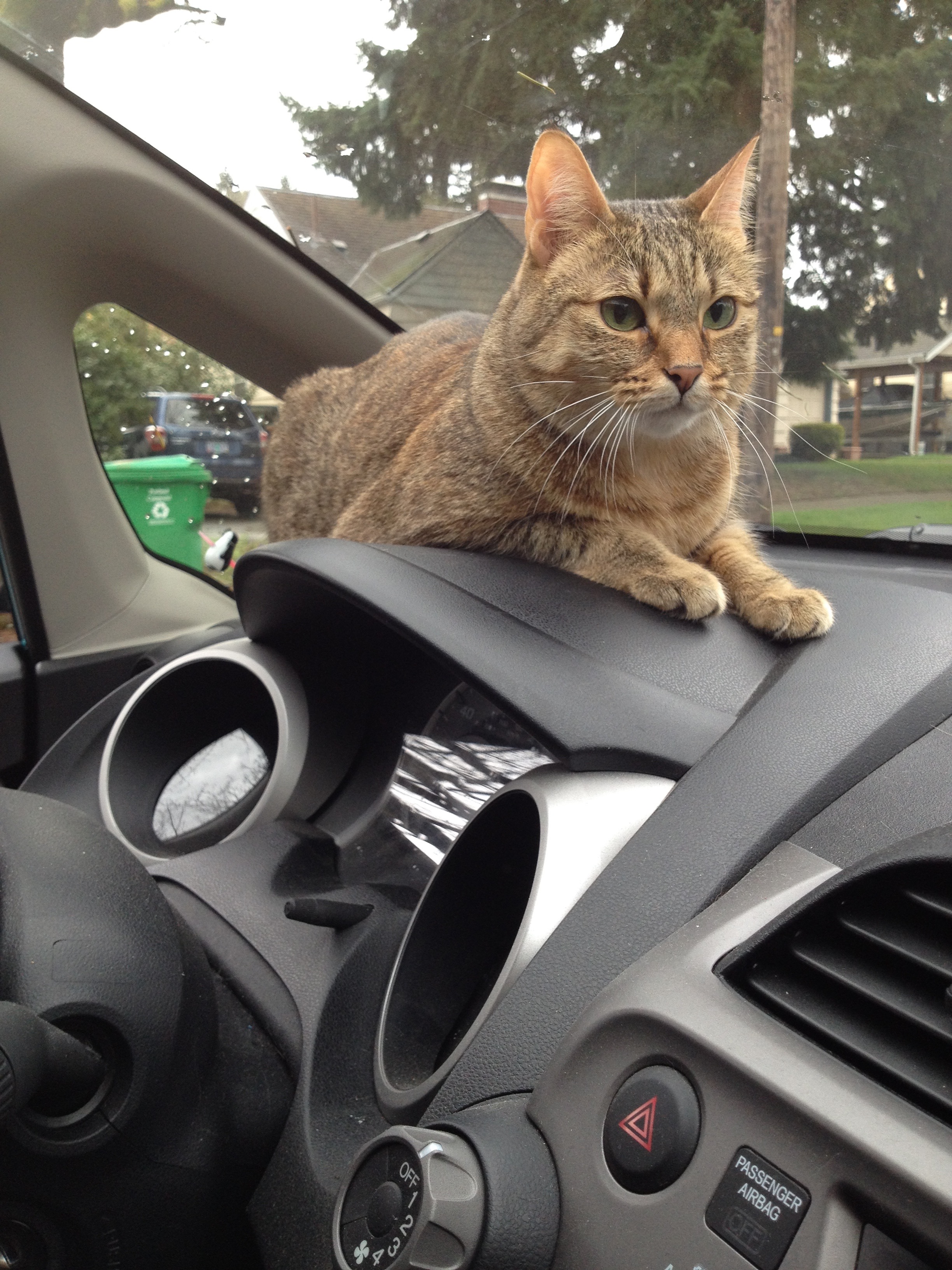 Just lurking in the car outside the house, like creeps.