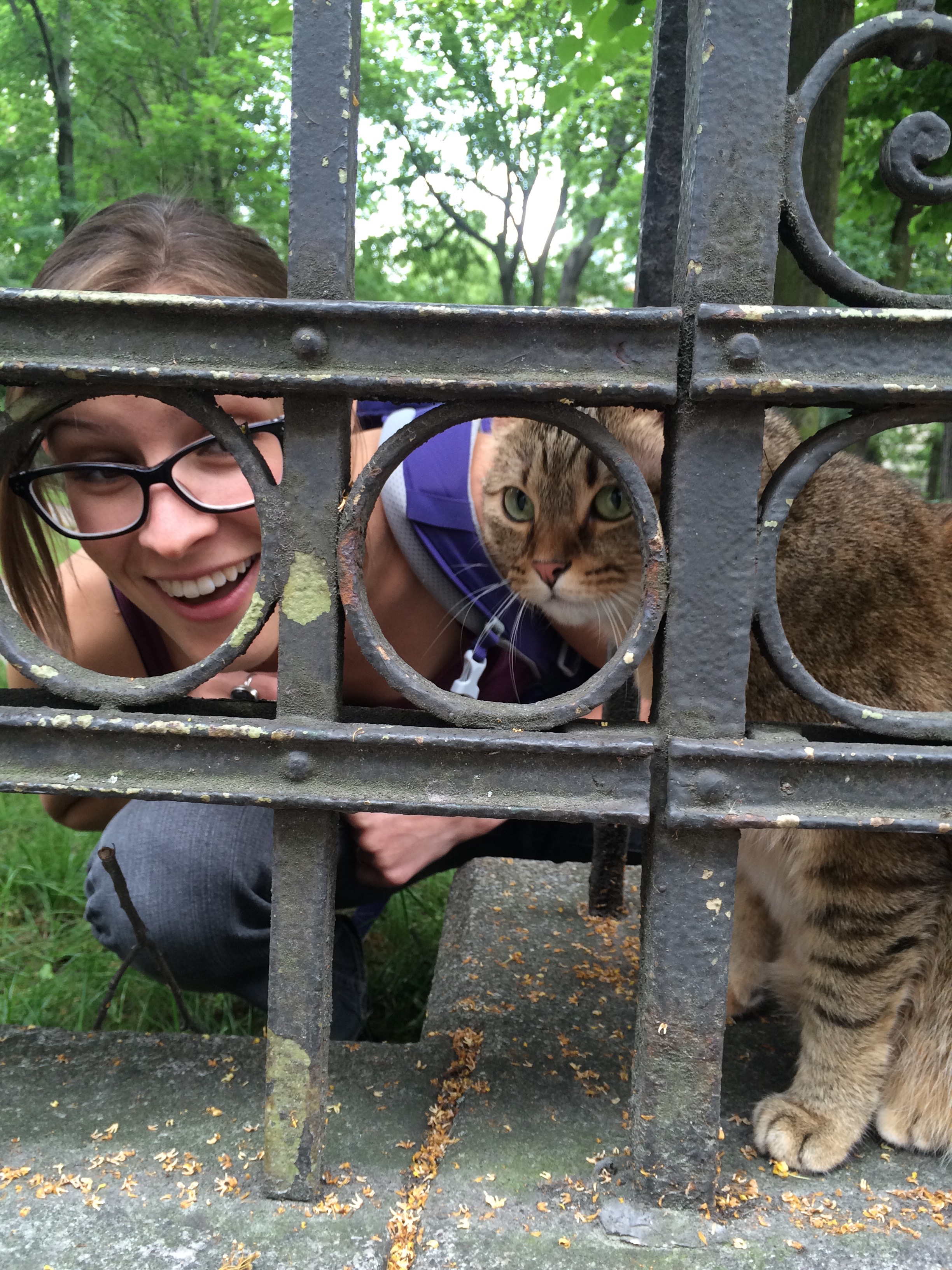 Crouching down to try and get the cat's-eye view of things.