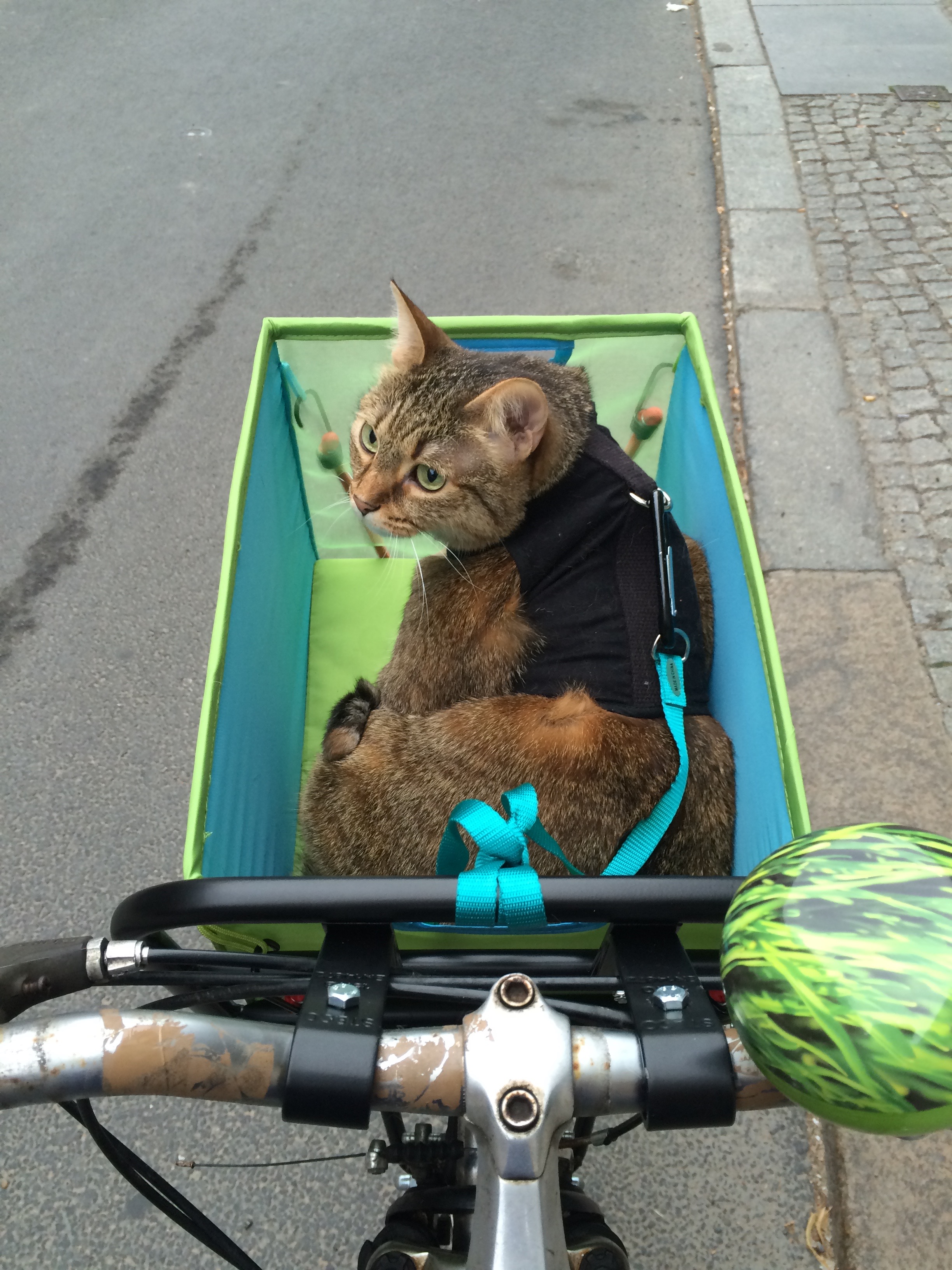 Here you can see the whole ramshackle setup in action, on our first test-ride.