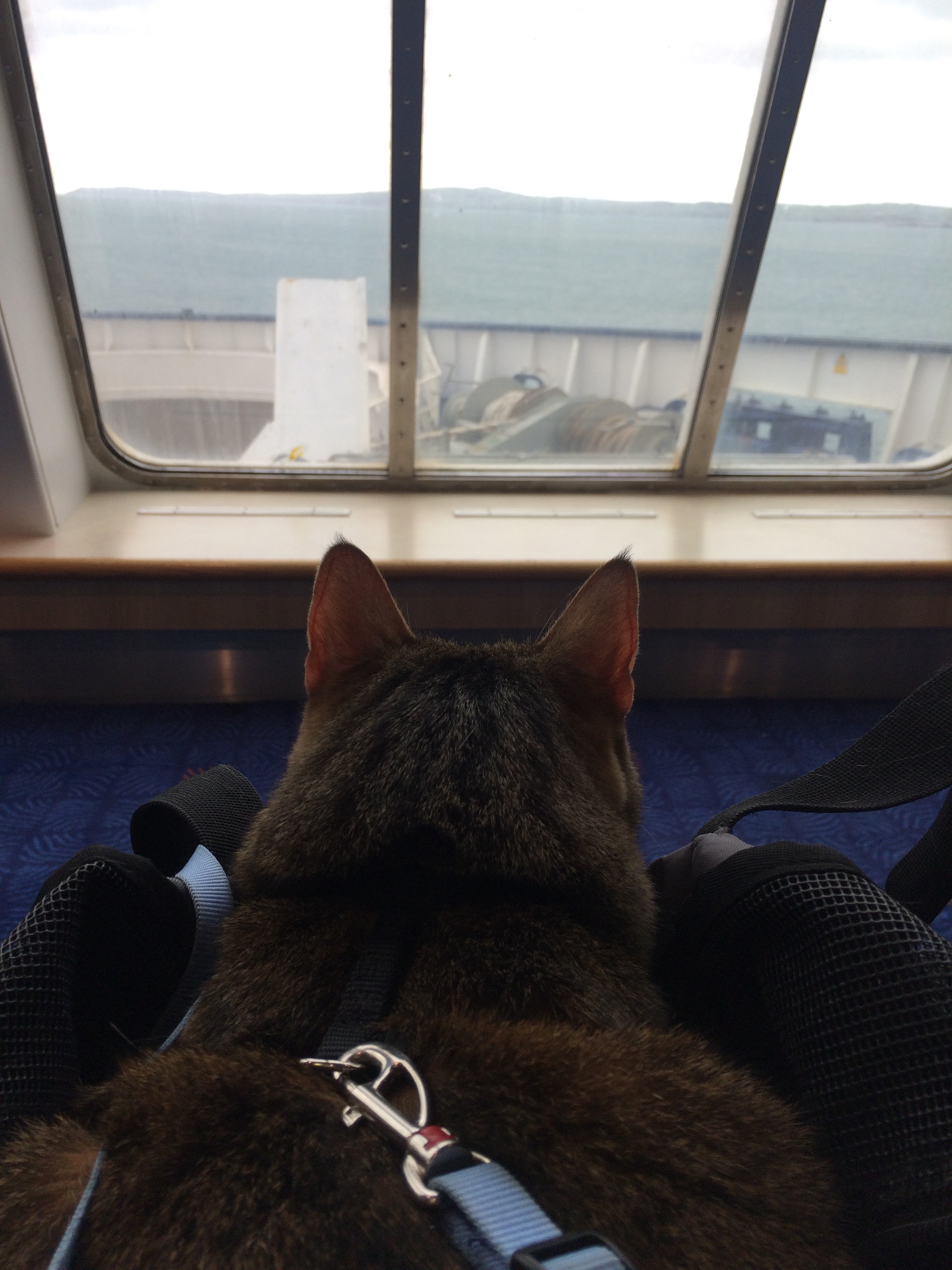 We had a great view before we started to spew