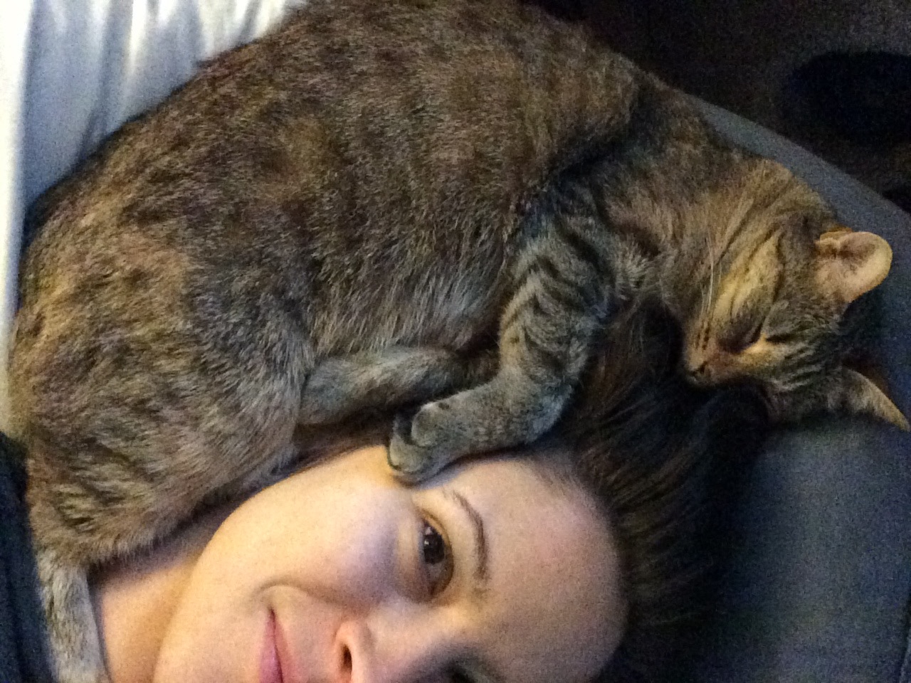 When we do sleep, it's usually something like this.