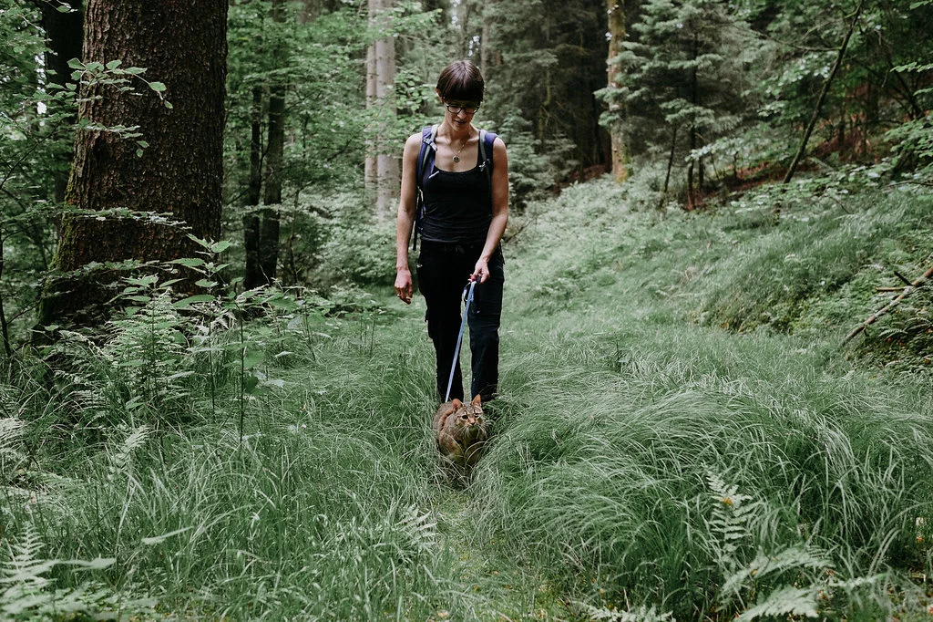Hiking in Bavaria. Summer, 2017. Aífe just wouldn't stay in the pack! She insisted on doing the whole uphill part of the hike herself. (photo by our friend Juliana Socher)
