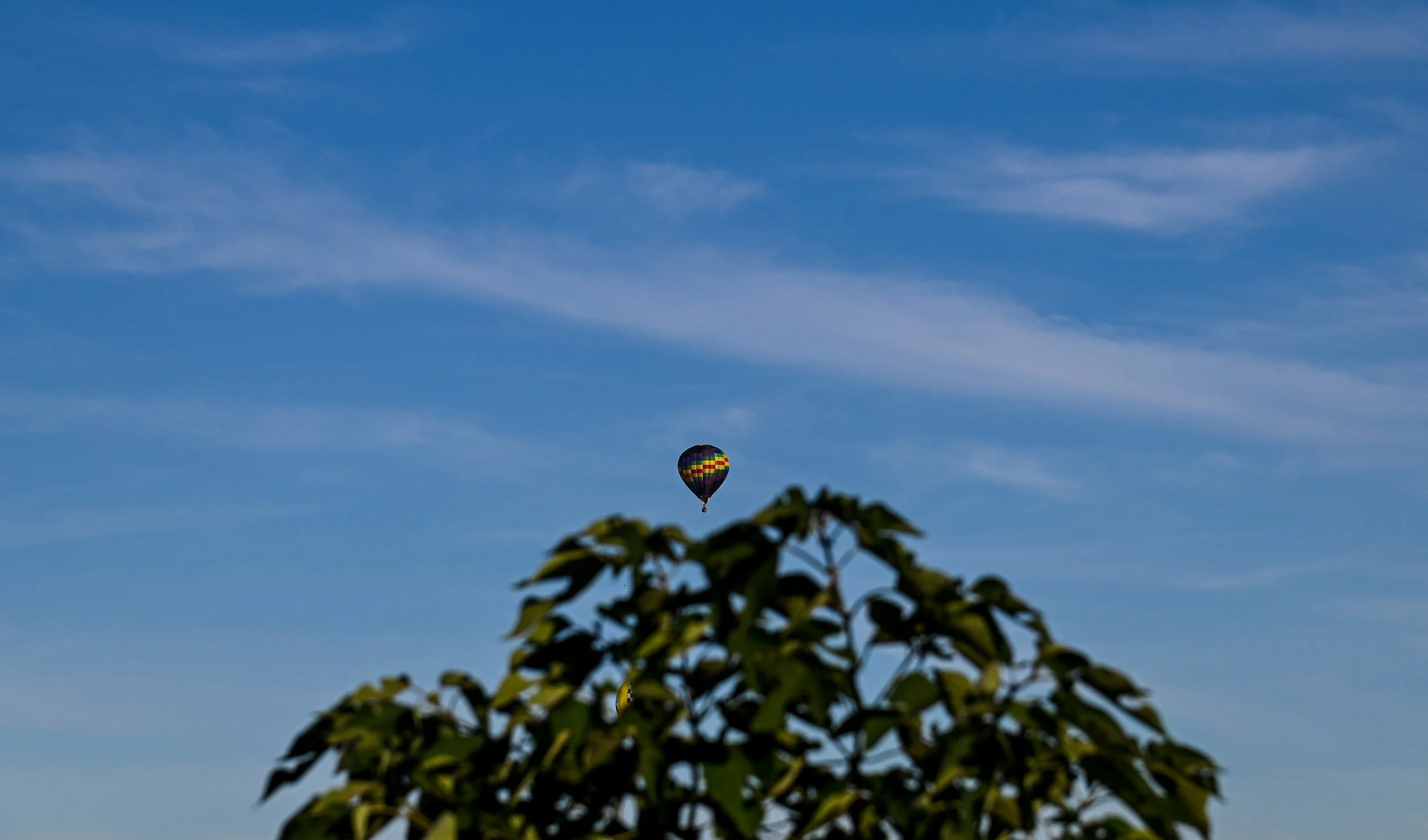 DSC_0801-2.jpg